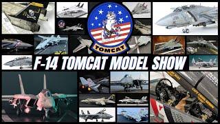 F-14 Tomcat Scale Model Show