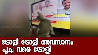 ട്രോളി ട്രോളി അവസാനം പൂച്ച വരെ ട്രോളി...; ട്വന്റിഫോറിനെ ട്രോളി പൂച്ചക്കുഞ്ഞ് | VIRAL VIDEO