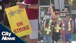 BCGEU members walk off job at liquor distribution branches