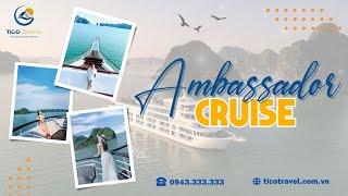 Ambassador Cruise - Đẳng cấp du thuyền 6 sao vịnh Hạ Long | Tico Travel