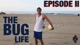 Beach Volleyball's Taylor Crabb: The Bug Life