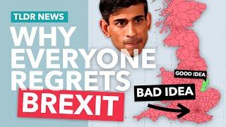 Everyone Regrets Brexit: So What?