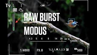 Canon Academy Quick-Tipp: RAW-Burst