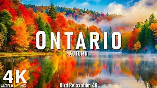 Autumn Ontario 4K Autumn Ambience, Fall Foliage with Beautiful Piano Music - 4K Video UHD