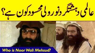 Noor Wali Mehsud | Who Is