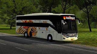 Alankar flying star livery | MAYYLO YT | bussid | bus simulator indonesia | surat all travels livery