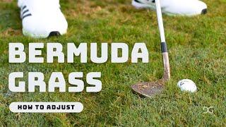 How to chip from Bermuda grass