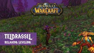 Classic WoW Nostalgic Leveling Journey ~ No Talking ASMR ~ Night Elf Zones Part #1