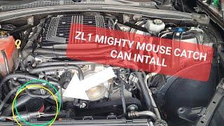 6th Gen Cheverolet Camaro ZL1 Mighty Mouse Catch Can Install. @HotRodsAndHouses #camaro #corvette