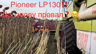 Жнива соняшника  2024 розпочали‼️ Піонер 130, знову провал, чи можна давати завдаток