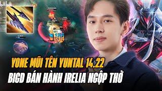 BIGD TEST GIÁO ÁN YONE MŨI TÊN YUN TAL ĐI TOP BẢN 14.22 BÁN HÀNH IRELIA GÁNH TEAM CỰC KHÉT