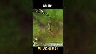 이 사진 한 장에 담긴 믿기 힘든 자연의 반전