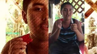 Sharpens Best Knife Sharpener Review by Jose