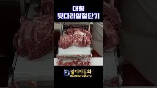 [알디자동화] 대형뒷다리살절단기