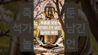 죽음을 앞둔 석가모니가 남긴 놀라운 예언 #불교 #부처님 #부처님말씀 #명상 #깨달음 #기도 #해탈 #명언 #석가모니 #팔만대장경 #인생 #조언