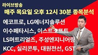 에코프로, LG에너지솔루션, 이수페타시스, 이스트소프트, 주성엔지니어링, LS머트리얼즈, KCC, 실리콘투, 대원전선, GST, 한국경제TV, 종목상담(241212)