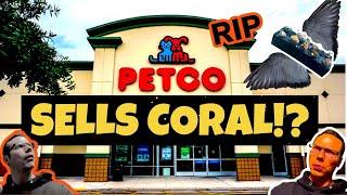 PetCo Sells DEAD Coral?! | Shopping For Macro Algae Tank