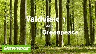 Die Zukunft unserer Wälder | Die Waldvision von Greenpeace