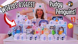 UNBOXING THE *WORLDS BIGGEST* PUDGY PENGUINS MYSTERY TOY COLLECTION!!⁉️ (RARE GOLD HUNT?!🫢) AD