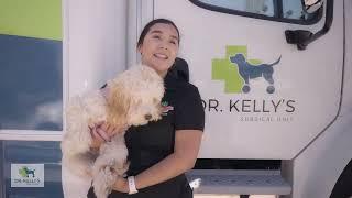 Compassionate & Affordable Care With Dr. Kelly's Surgical Unit