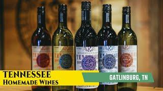 Sampling Wine in Gatlinburg - Tennessee Homemade Wines