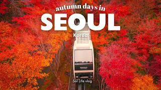 Autumn in Seoul, Korea VLOG | best autumn foliage spots, Hwadan Forest, cafes with view, home baking