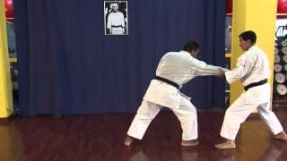 KUMITE KATA - KARATE WADO RYU