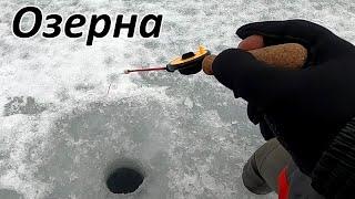 Безмотылка и хитрые жители водохранилища