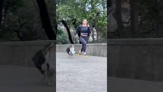 CHASED BY MY OWN DOG #dog #running #sports #sprint