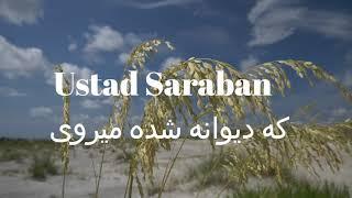 Ustad Saraban || حال که دیوانه شدم میروی