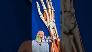 Dare To Take The Thumb Muscle Challenge 