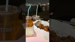 ヨイドの桜は毎年見たくなる 벚꽃 보기 위해 한국에 돌아간 일본인 #치맥#일본인#韓国チキン#ハンガン#韓国
