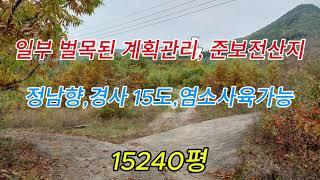 개발가능한 경사15도 싸게나온 문중산 #의성촌집#의성주택#의성땅#의성부동산#군위땅#영천땅#의성주말농장#의성임야#경북땅