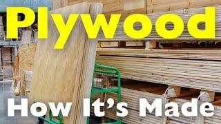 How Is Plywood Made? The Process of Layering Wood Veneers