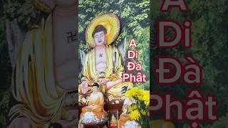Tranh cây bồ đề 3d dán tường trang trí bàn thờ phật đẹp nhất p2