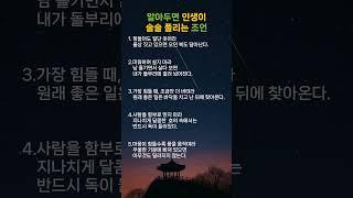 알아두면 인생이 술술 풀리는 조언 #인생조언 #술술풀립니다