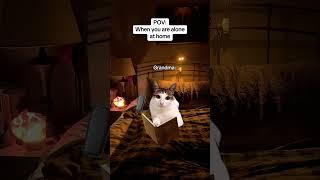 CAT MEMES When you are alone at home #catmemes #relatable #relationship