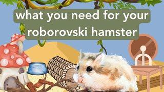 What you need for your roborovski - getting supplies for your hamster!