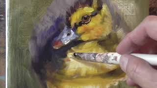 Duckling timelapse OIL PAINTING DEMO Alla Prima Animals by Peter Chorao