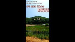 천만원 입주가능한 파주신축빌라 입니다.숲세권 법원읍 법원리빌라 한울하임 #shorts
