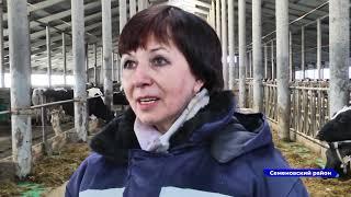 Новости "Волга 24" 22.03.2022 15:00