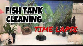 HOW TO CLEAN FISH TANK I TIME LAPSE I IRISH CHENG