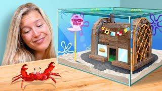 I Built the Krusty Krab for a Real Crab