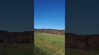 Scenic Farm Road with Rustic Charm and Mountain Views#FarmLife #CountryRoad