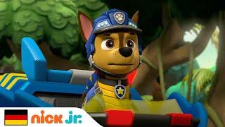 PAW Patrol | Baby-Dinosaurier müssen gerettet werden | Nick Jr. Deutschland