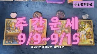 [주간타로] 이번주는 어떤 행운이  9/9~9/15