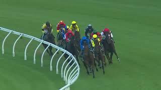 Birthday Card Stakes 2025 - AUSTMARR (3YO+ Qlty G3 FM) Group 3 Rosehill 22 March