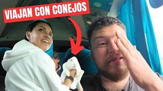 Así es VIAJAR en los BUSES "LOWCOST" de Argentina | Buenos Aires - Salta/Jujuy