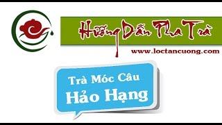 [HƯỚNG DẪN PHA TRÀ] Trà Móc Câu Hảo Hạng Thái Nguyên - Lộc Tân Cương