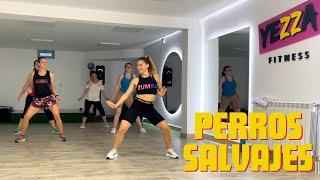  "PERROS SALVAJES" - DADDY YANKEE YEZZA FITNESS CHOREO  ZUMBA FITNESS 